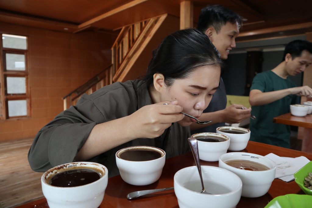 cupping test to deliver good quality coffee beans as supplier